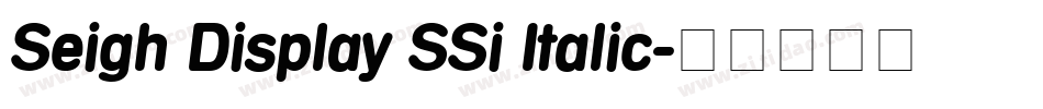 Seigh Display SSi Italic字体转换